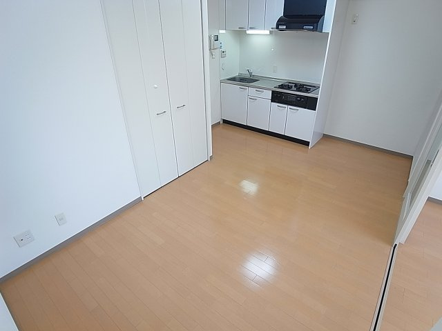 アネシスコート門口のその他|リビングにもクローゼットあります