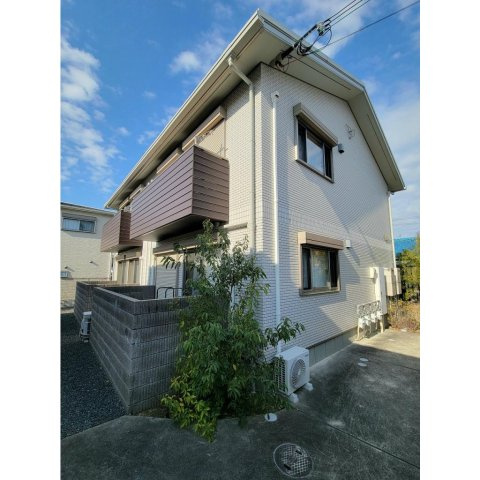 ヴェヌスタ幾野