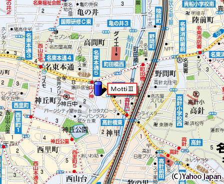 MottiⅢ