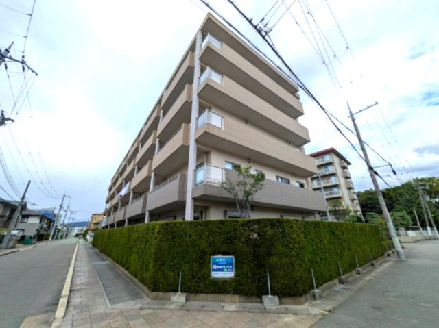 リコリス