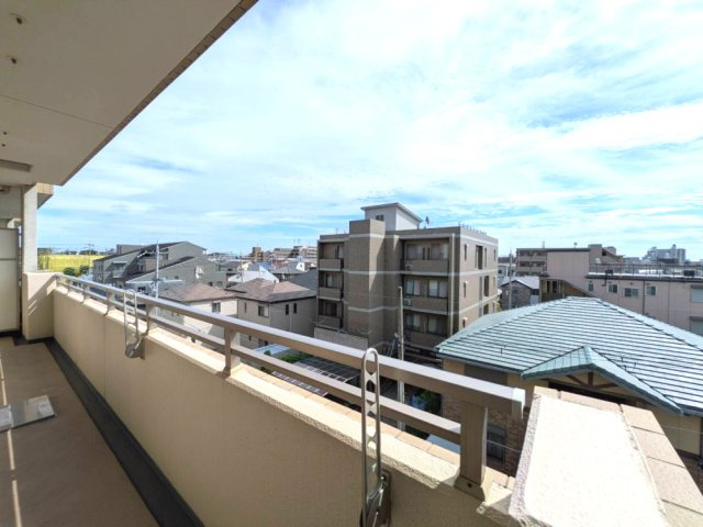 リコリスの展望