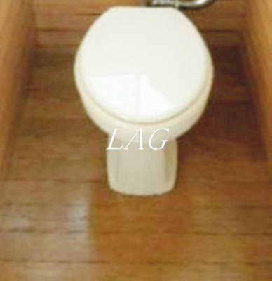 【トイレ】 | ミユキハイツ | トイレです。
