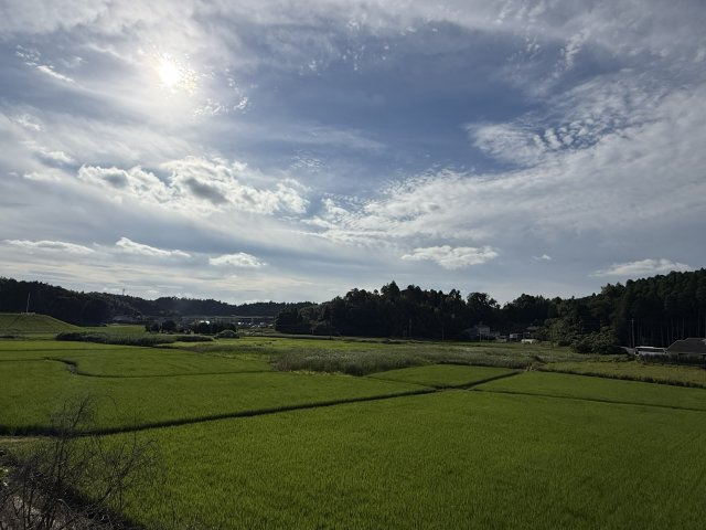 【限定１棟】大網白里市みどりが丘四丁目新築戸建の展望