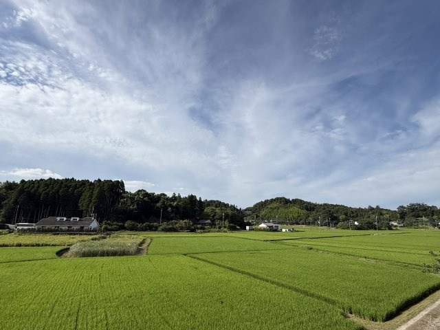 【限定１棟】大網白里市みどりが丘四丁目新築戸建の展望