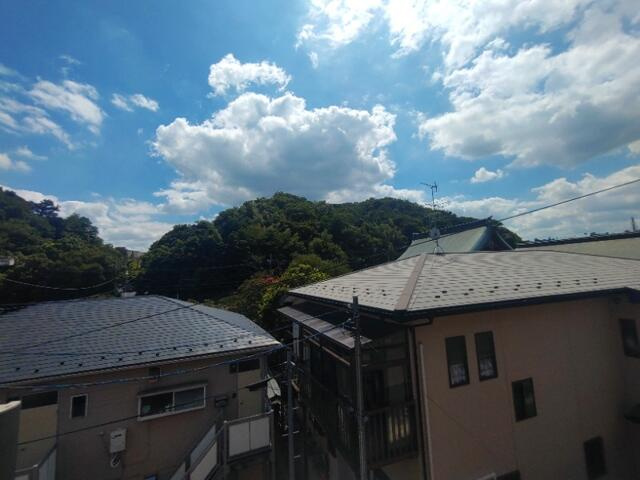 アイリスコートの展望