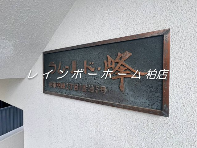 特典：仲介手数料が50％OFFです‼