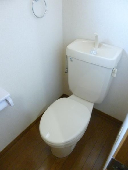 岩井川タウンハウスⅡのトイレ|ゆったりとした空間のトイレです※別号室の写真になります