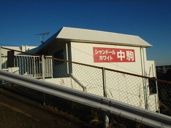 シャンドールホワイト中駒の外観