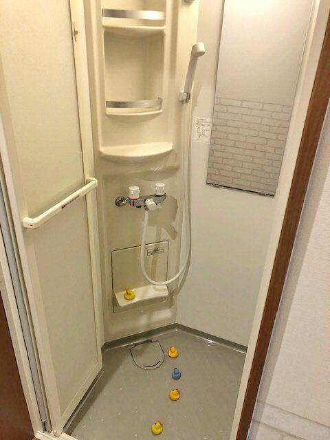 バス