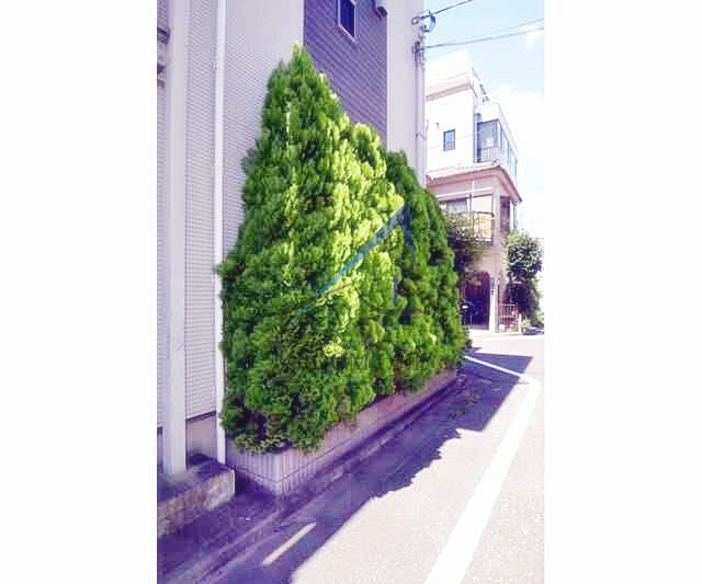 フォレストメゾン駒込