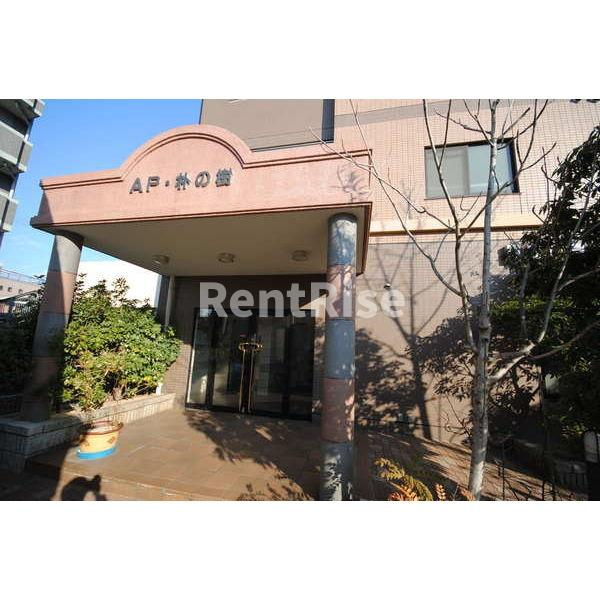 アパートメントハウス朴の樹のエントランス