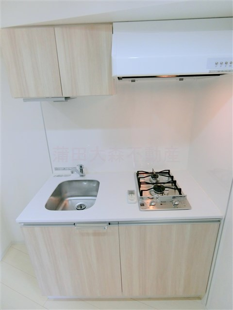 ブライズ蒲田SOUTHのキッチン|2口ガスシステムキッチン