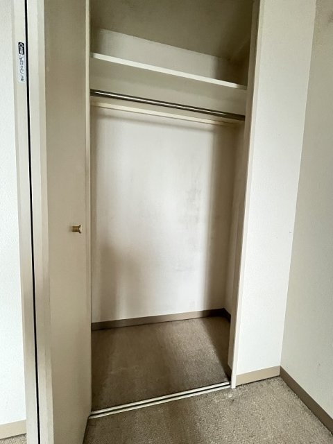 ライオンズプラザ亀有の収納|クローゼット