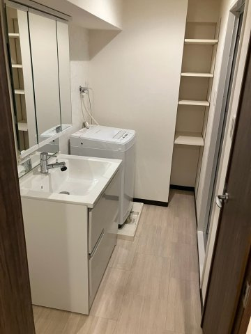 ライオンズマンション上町台の独立洗面台|たっぷりの収納を設けたシャワー付洗面台で快適な暮らし(2026年8月撮影)