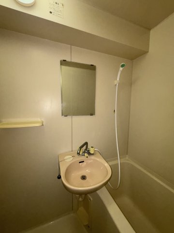 ティックランド南船場の洗面所