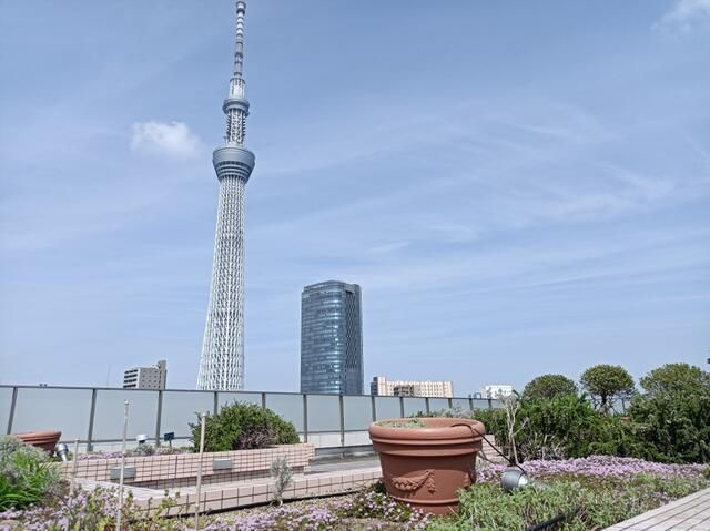 フルーヴ押上の設備