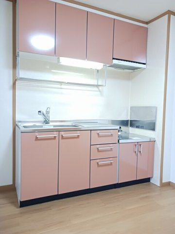 アルドーレ　Ａのキッチン|キッチンです