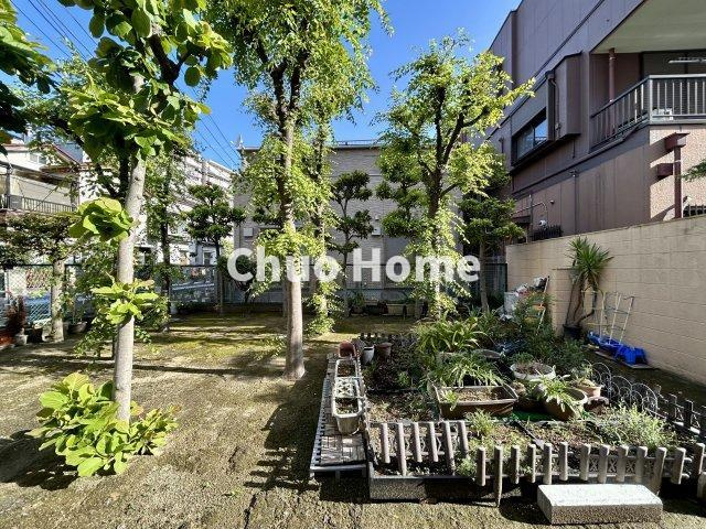 ダイアパレス綾瀬の中庭|敷地内には緑が多く住環境良好です