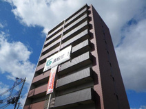 VITA瑞光の画像