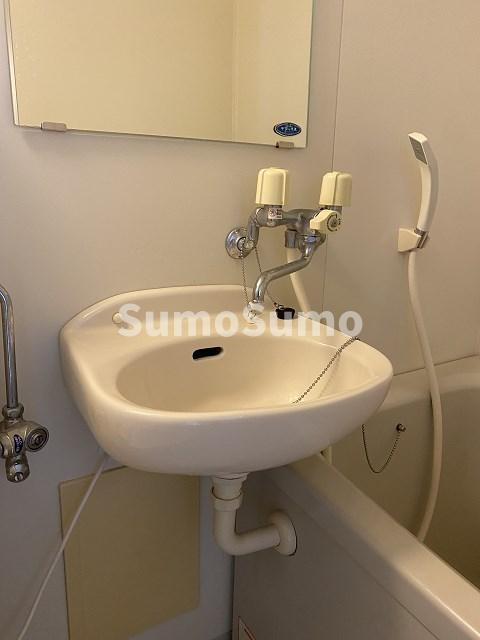 シェルプール弐番館の洗面所