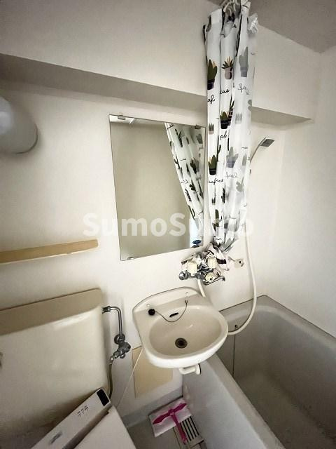 シェルプール弐番館の洗面所
