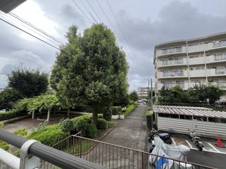 【展望】 | 霧が丘グリーンタウン4丁目1街区 | 北側バルコニーからも豊かな緑を望み、四季の移ろいを身近に感じられます。