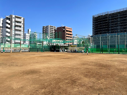 グリシオン亀戸の周辺