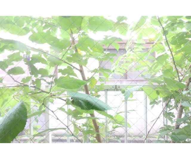 シティパレスアパートメント亀戸の展望