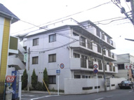 グレイス杉田の画像