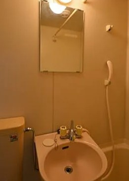 ラフィーネ河辺の洗面所