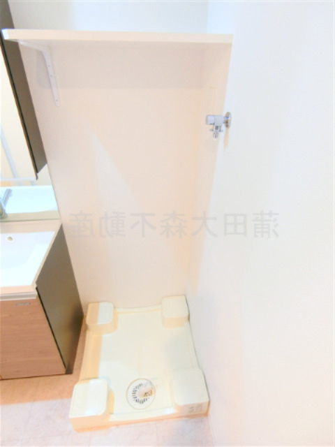 ラフィスタ蒲田南Ⅱの洗面所