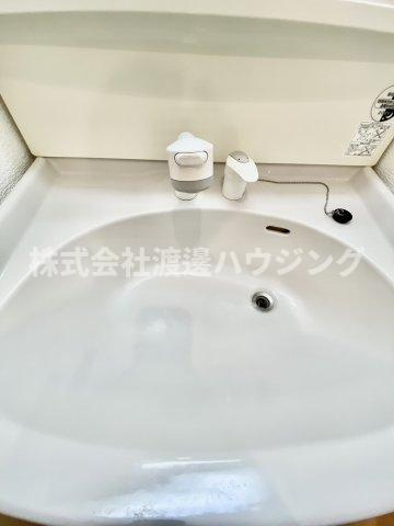 ハイムミニヨン2の独立洗面台