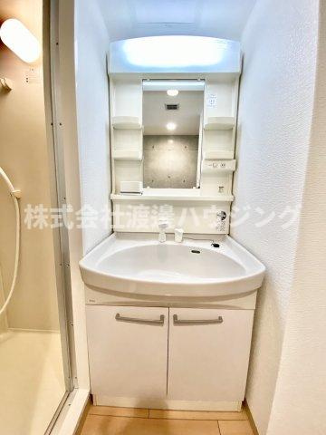 ハイムミニヨン2の洗面所