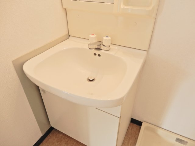 ハイツ阪井の洗面所