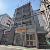 カメリアの画像
