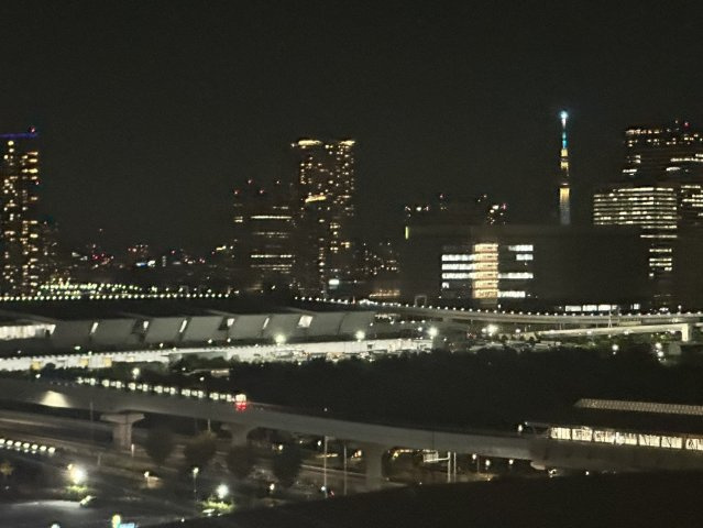 Brillia Mare 有明 TOWER&GARDENの展望