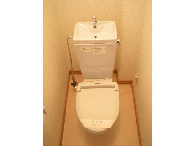 Ｃａｐｅ　ｈｏｕｓｅのその他