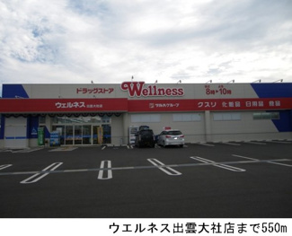 【周辺】 | コート　オーチャード　Ａ | ウエルネス出雲大社店まで550m