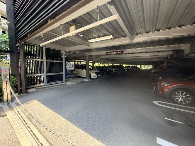 照葉テラス・パークカーサ01の駐車場|駐車場までは雨の日でも濡れずに行けます 