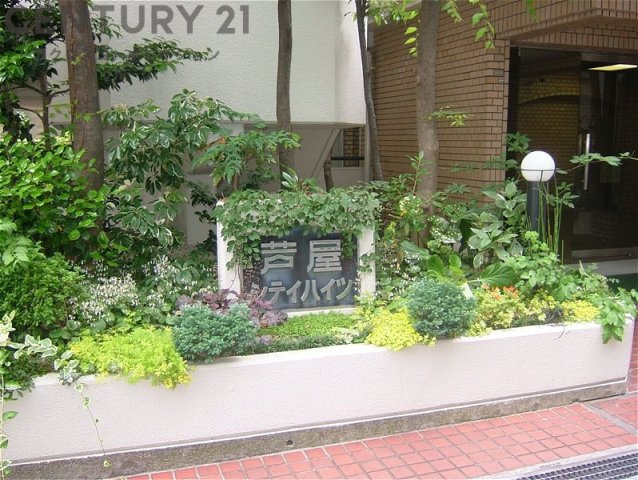 他