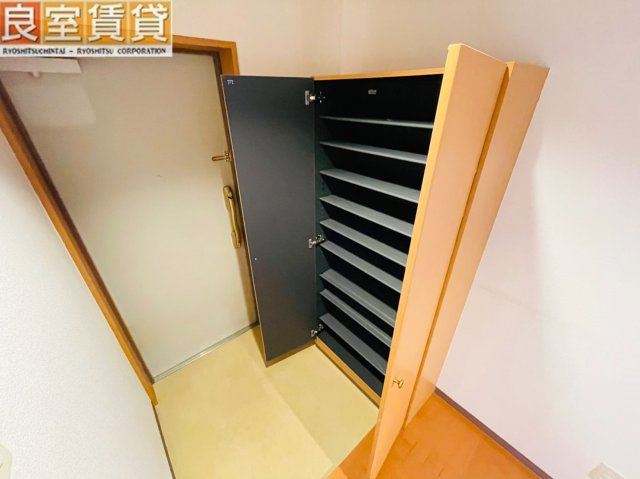 【玄関】 | ウィル猫洞