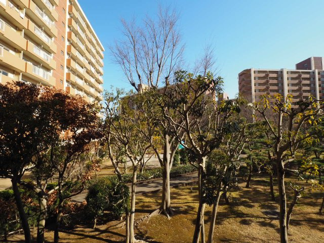 【共用部分】