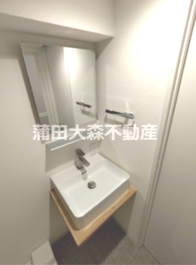 triasトリアス541の洗面所
