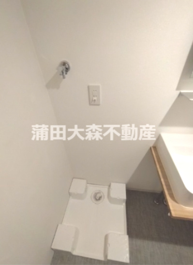 triasトリアス541の洗面所