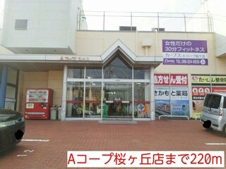 ビュ－ハイツ久保Ⅱの周辺|Aコープまで220m