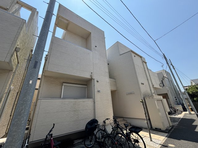 GRANDTIC EVER GREENの画像