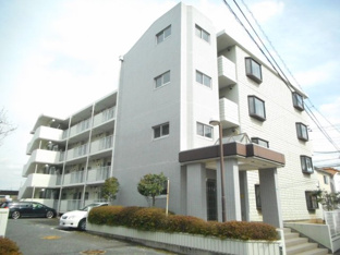 きれいな外観です