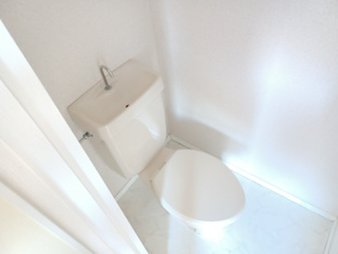 落ち着いた色調のトイレです