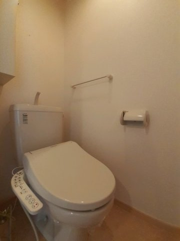 落ち着いた色調のトイレです