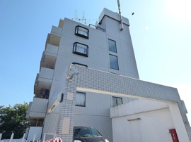 外観も気になるポイント